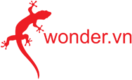 wonder.vn